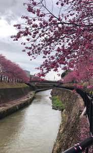 掛川城天守閣 2枚目