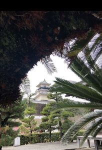 掛川城天守閣 4枚目