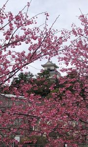 掛川城天守閣 5枚目