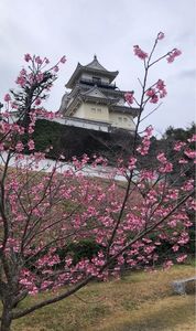 掛川城天守閣 6枚目