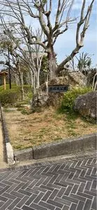 浜松城公園
