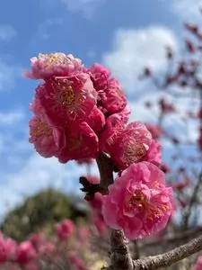 防府天満宮