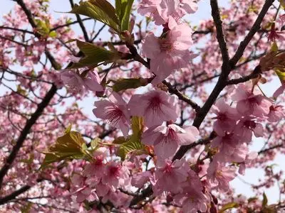道の駅 みょうぎ