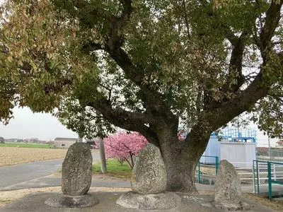 株式会社 備南淡水
