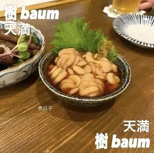 樹（バウム）