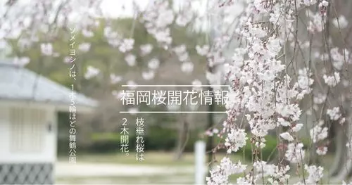 舞鶴公園