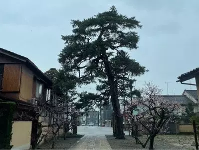 卯辰山