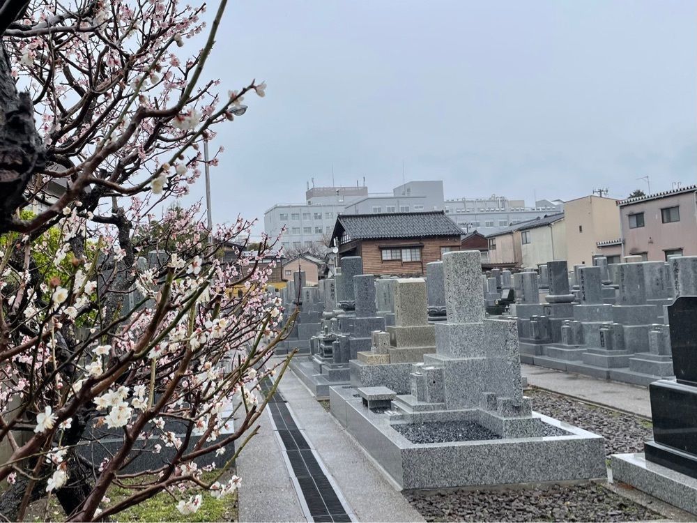 らぐ🏉🍺ビアさんが投稿した卯辰山に関する口コミの画像