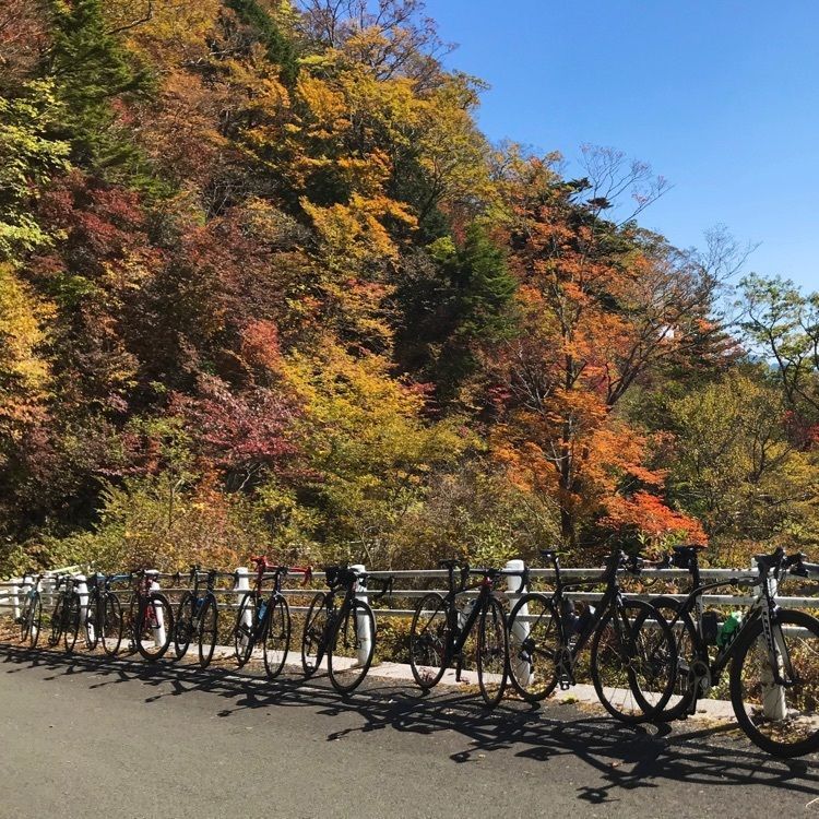 madone_takeshiさんが投稿した瓶ヶ森に関する口コミの画像
