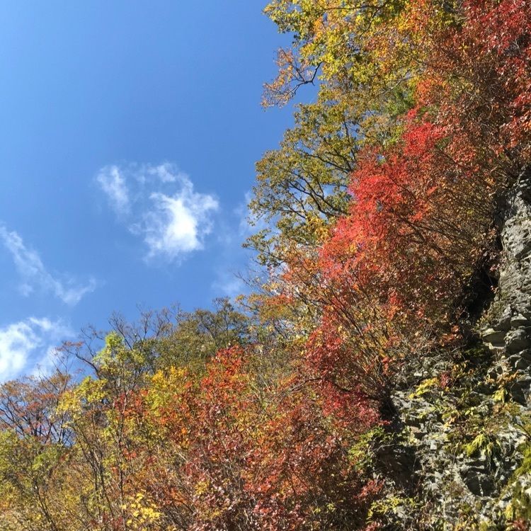 madone_takeshiさんが投稿した瓶ヶ森に関する口コミの画像