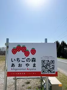 いちごの森 あおやま