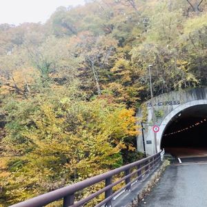 五十里湖 8枚目