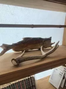 海の別邸ふる川