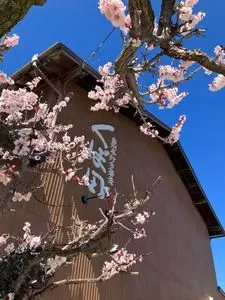 白州手打ち蕎麦 くぼ田