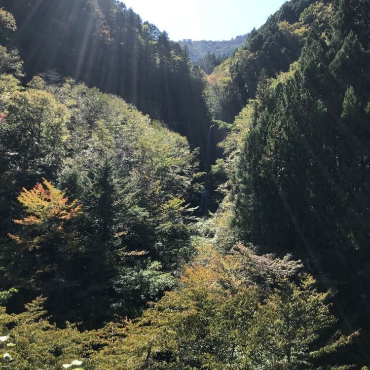 madone_takeshiさんが投稿した手打そば 時屋に関する口コミの画像