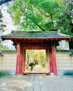 中院