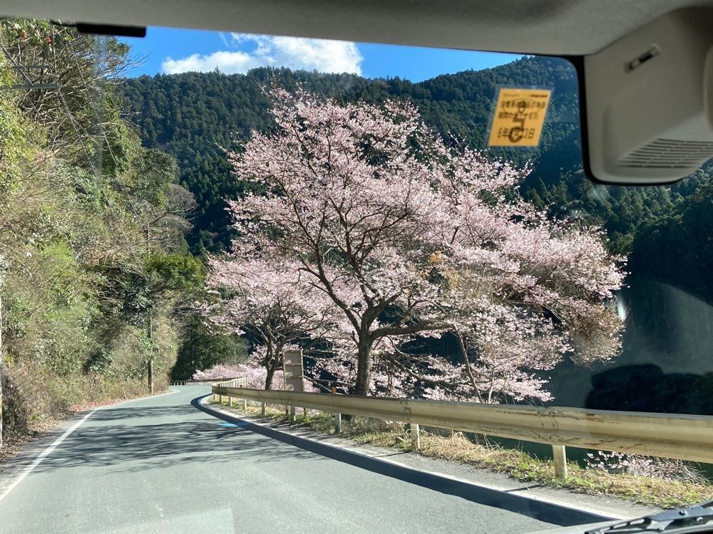 Howl Monさんが投稿した足助神社に関する口コミの画像