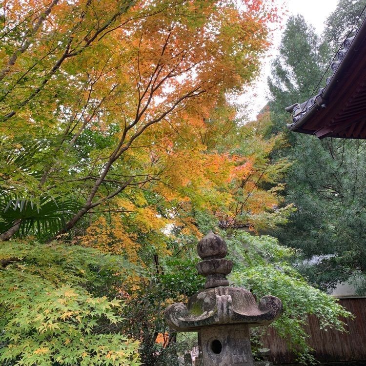 formal_cafeteria_8688さんが投稿した蓮城寺（内山観音）に関する口コミの画像