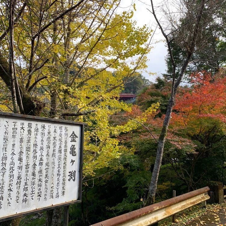 formal_cafeteria_8688さんが投稿した蓮城寺（内山観音）に関する口コミの画像