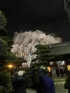 常円寺