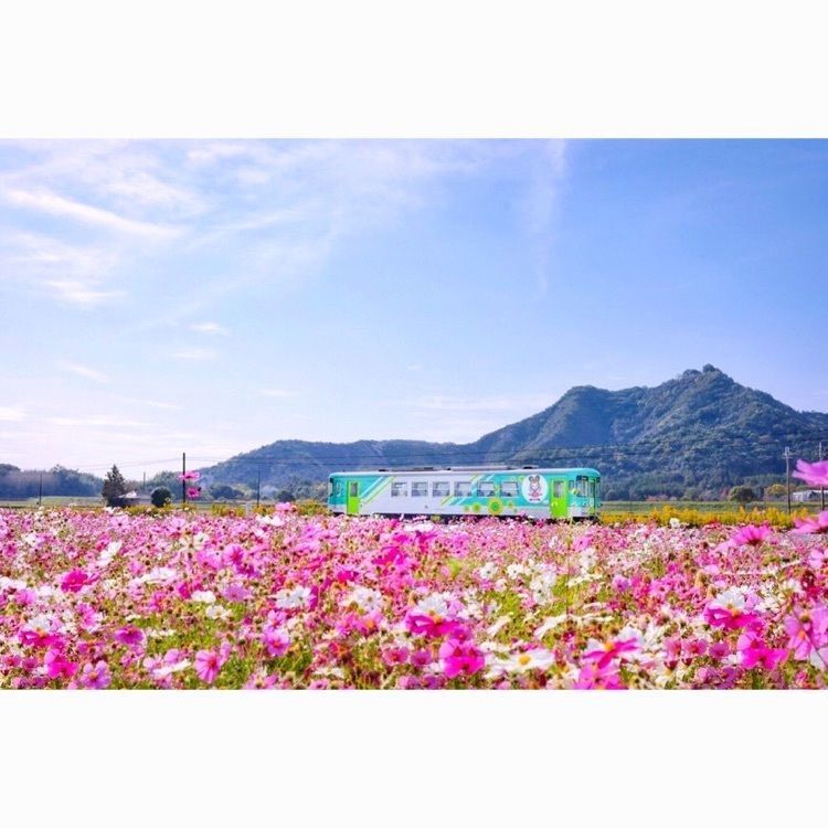 satomi24さんが投稿した播磨下里駅に関する口コミの画像