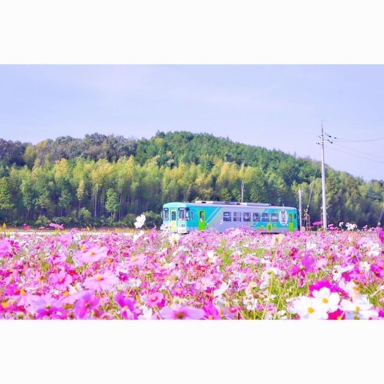 satomi24さんが投稿した播磨下里駅に関する口コミの画像