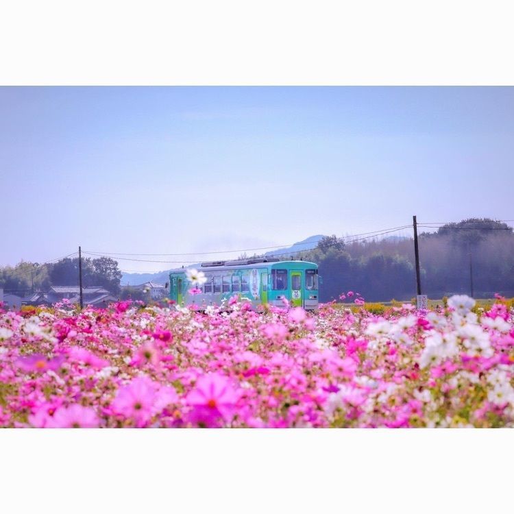 satomi24さんが投稿した播磨下里駅に関する口コミの画像