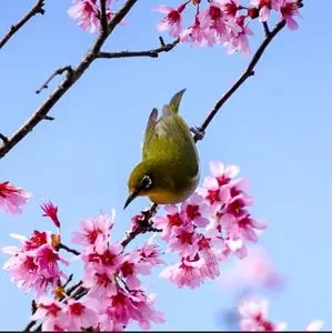 本と珈琲 喫茶ゆかりや