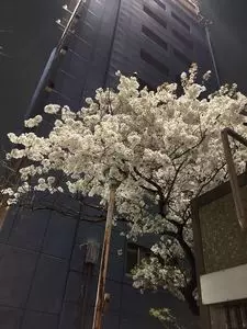 ミニストップ 大原店