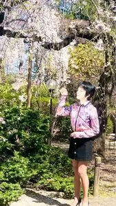 中院