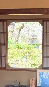 中院
