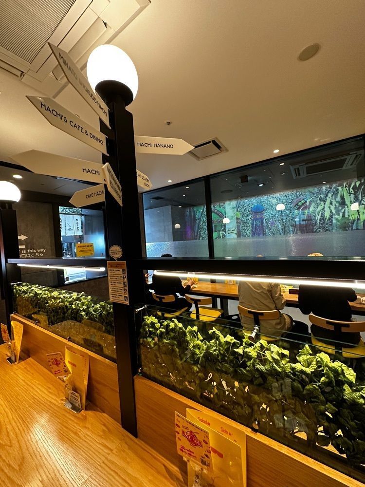 かめ_メグミさんが投稿したMAGO HACHI KITCHEN（マゴ ハチ キッチン）に関する口コミの画像