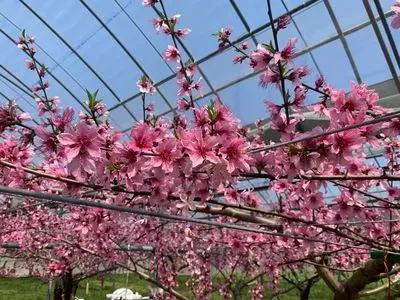 広川町観光案内所