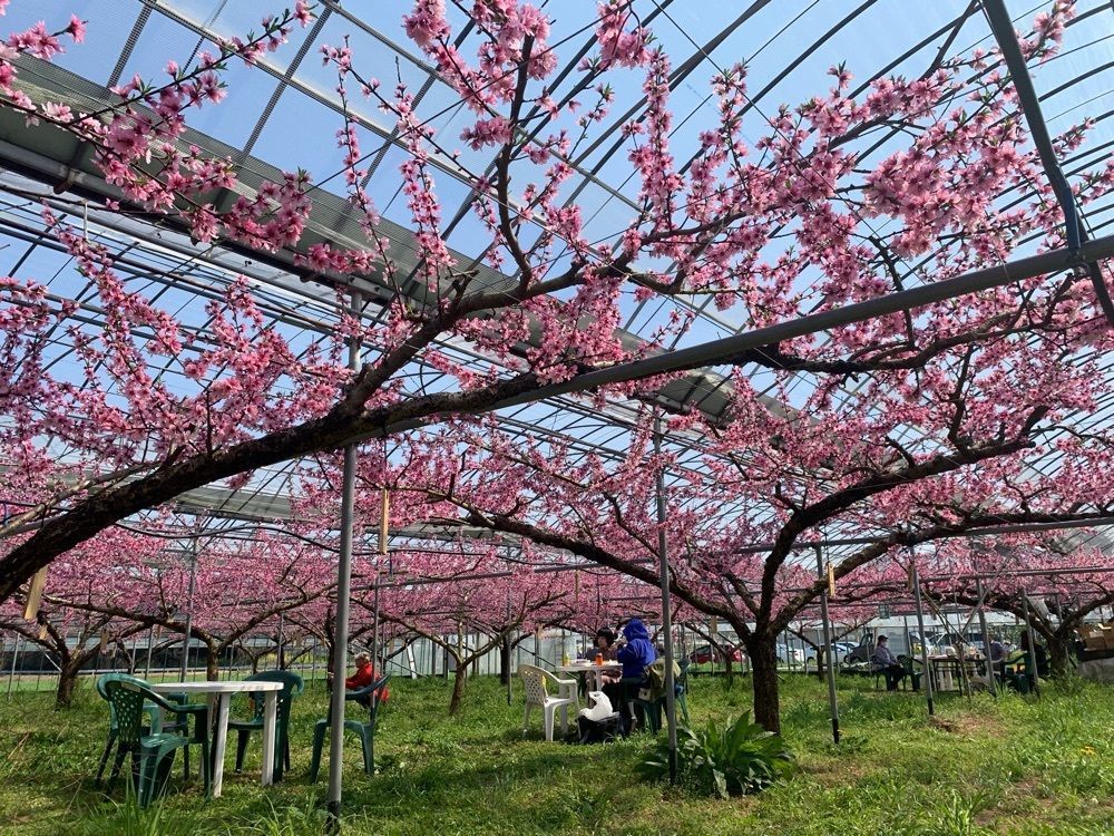 cool－showtimeさんが投稿した広川町観光案内所に関する口コミの画像