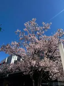 JR 新宿駅