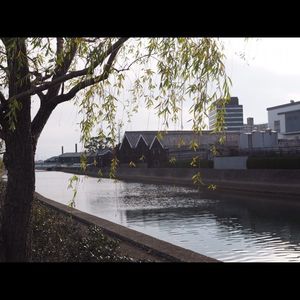 半田運河・蔵の街 2枚目