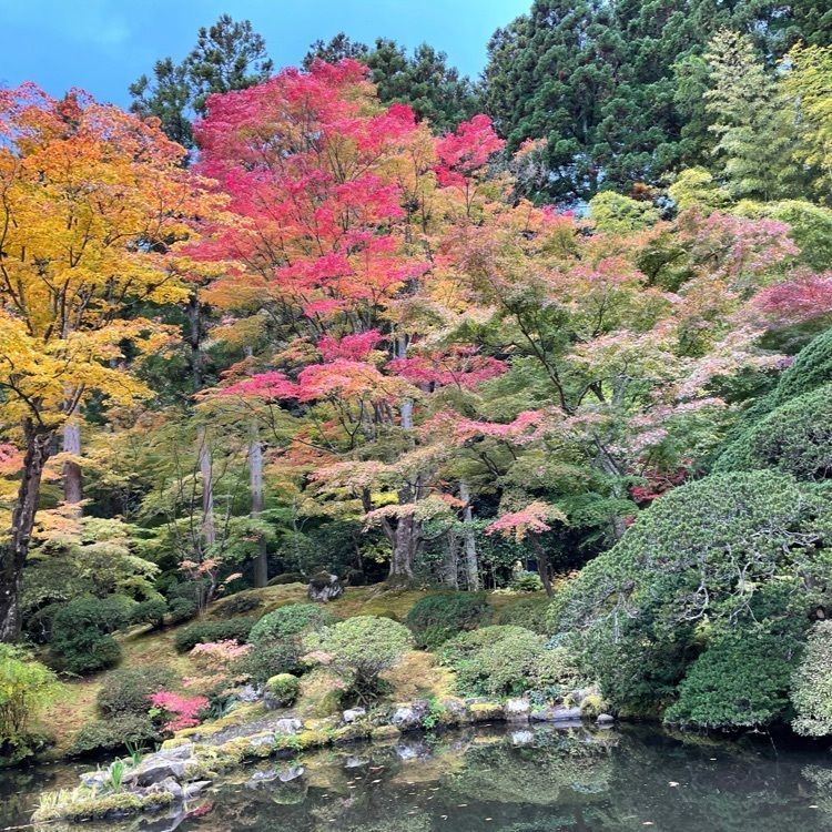 かつさんが投稿した画像の画像
