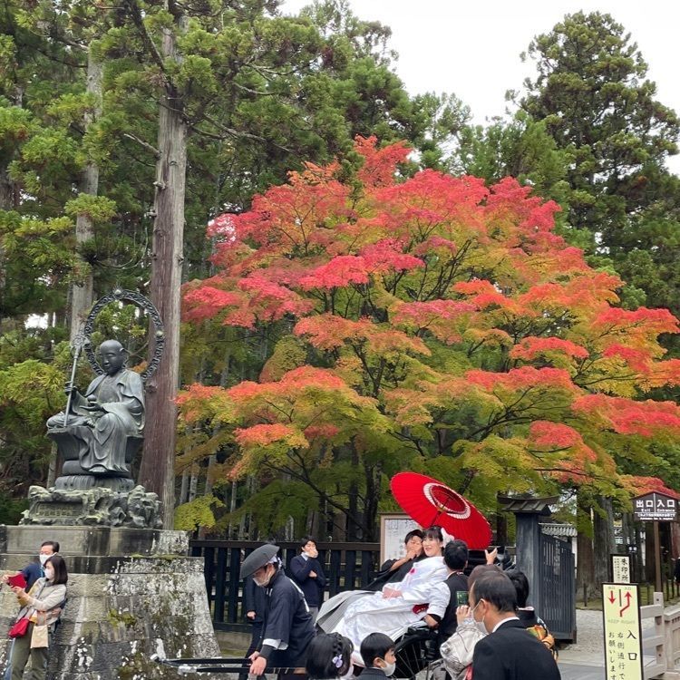 かつさんが投稿した画像の画像