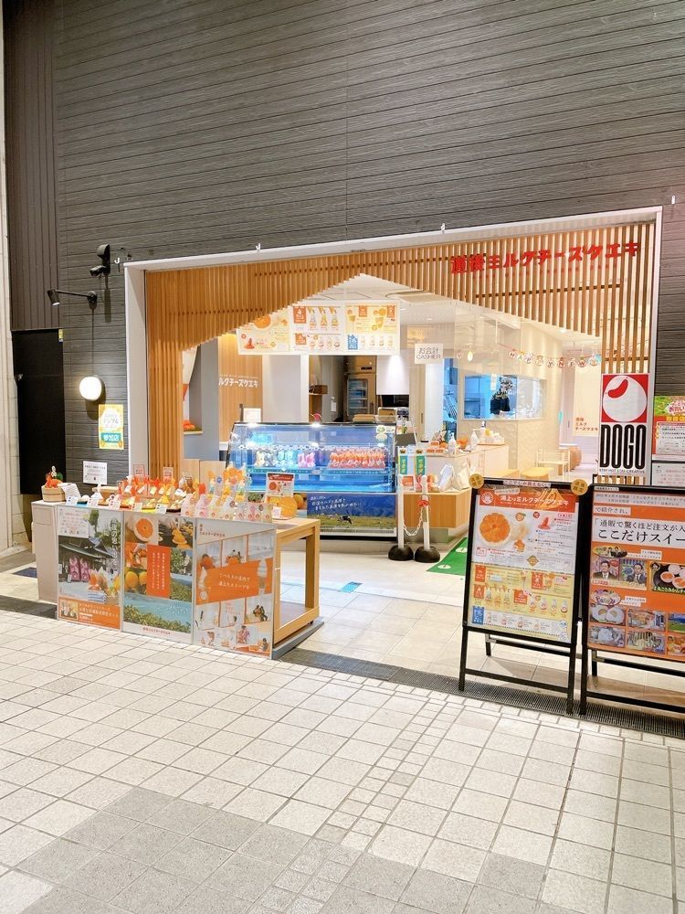 みかんさんが投稿した道後ミルクチーズケエキに関する口コミの画像