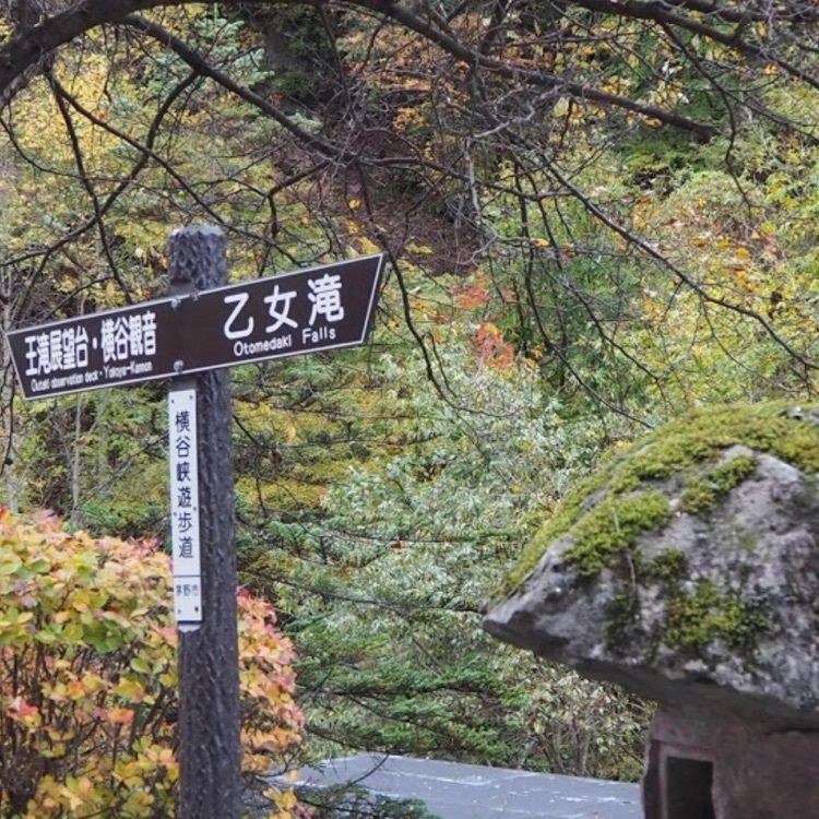 ＤＪゴン太さんが投稿した横谷峡に関する口コミの画像
