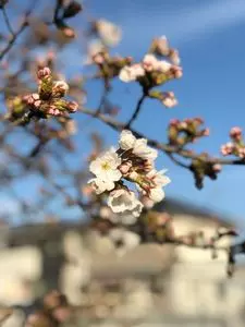 ボートレース桐生 カフェ