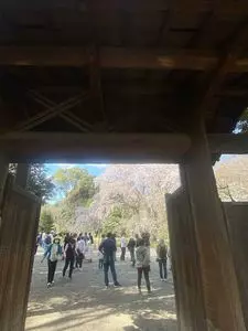 六義園　吹上茶屋