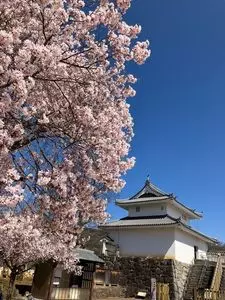 舞鶴城公園（山梨県甲府市）