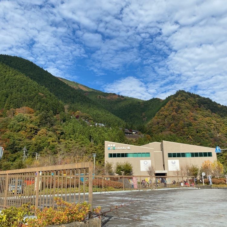 calm_climing_5c46さんが投稿したカタクリの花に関する口コミの画像
