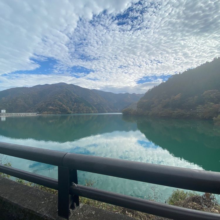 calm_climing_5c46さんが投稿したカタクリの花に関する口コミの画像