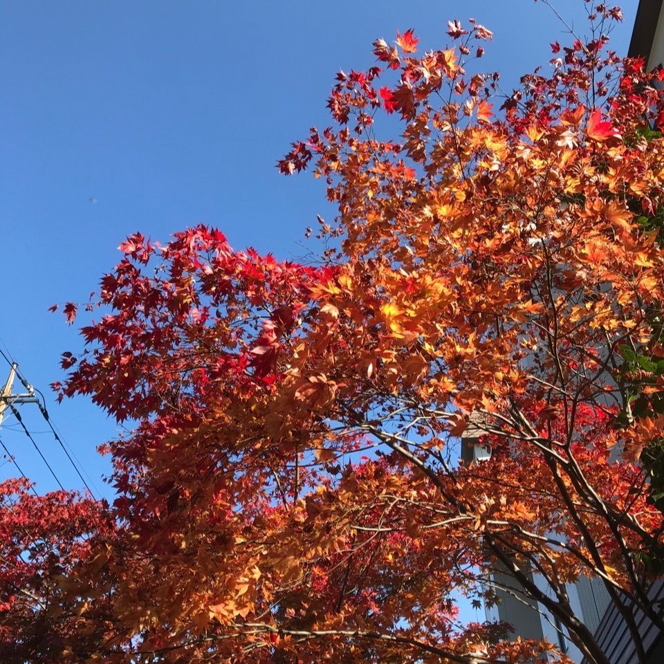 warm_village_b69fさんが投稿したきぬがわ高原カントリークラブに関する口コミの画像