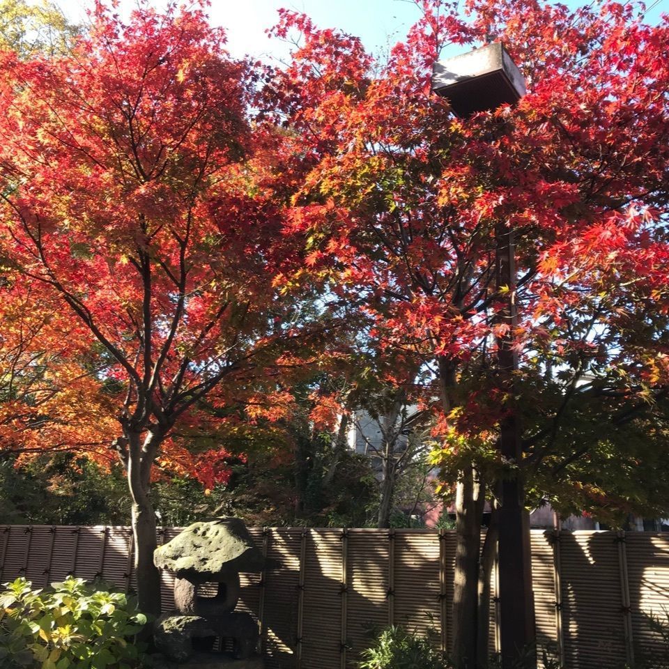 warm_village_b69fさんが投稿したきぬがわ高原カントリークラブに関する口コミの画像