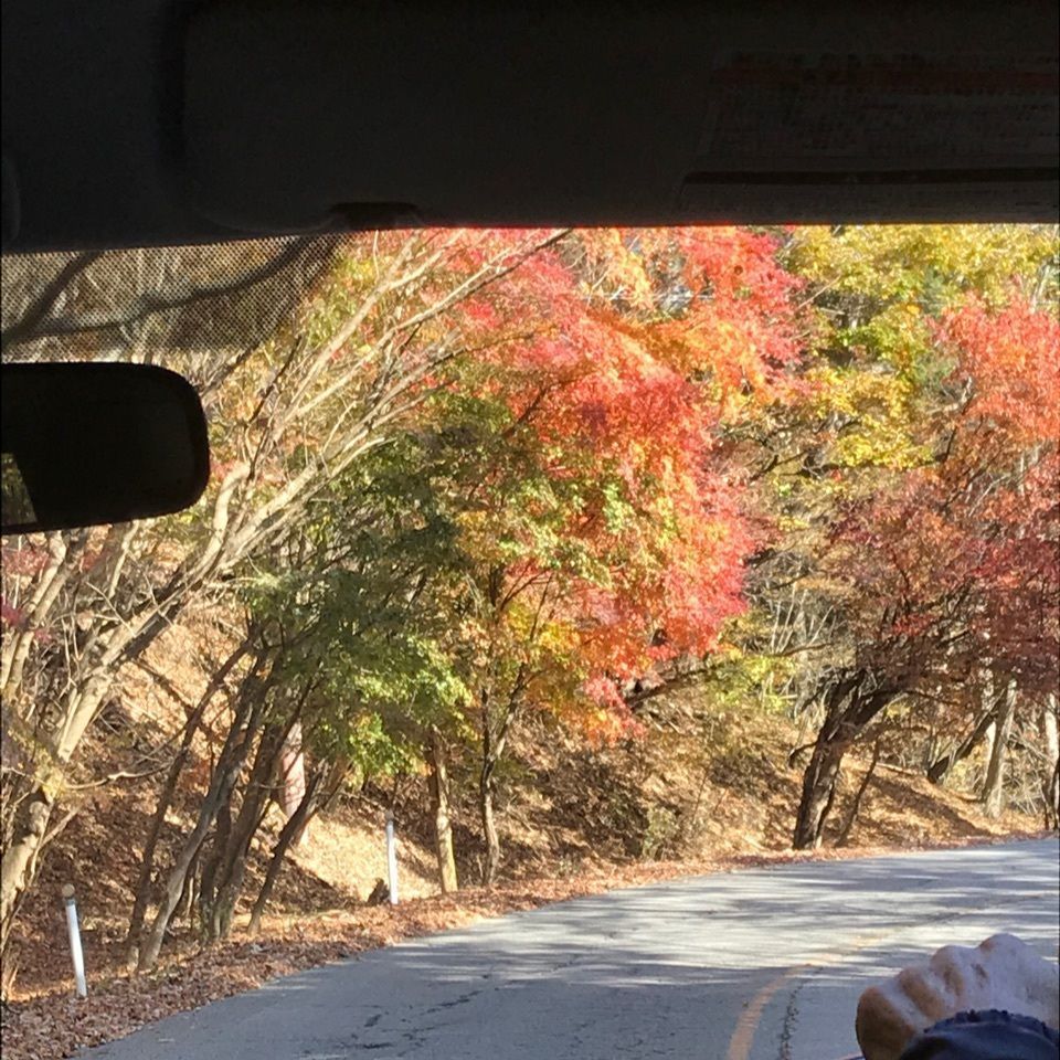 warm_village_b69fさんが投稿したきぬがわ高原カントリークラブに関する口コミの画像