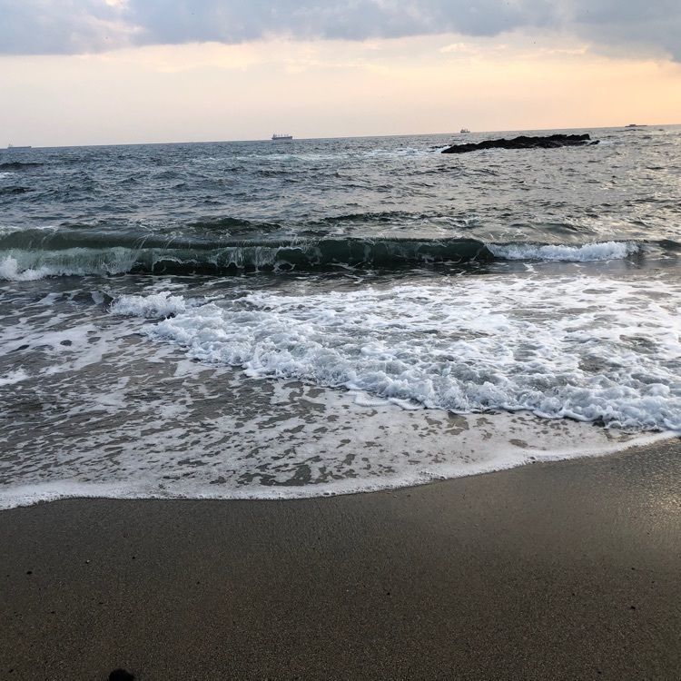 choco mintさんが投稿した三崎公園に関する口コミの画像