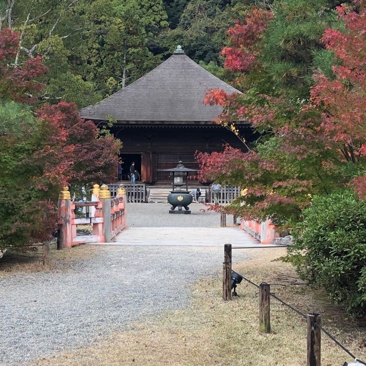 choco mintさんが投稿した白水阿弥陀堂（願成寺）に関する口コミの画像